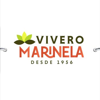 Logo de Vivero Marinela