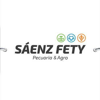 Logo de Saenz Fety