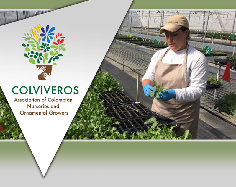 Colviveros: Association of Colombian Nurseries and Ornamental Growers