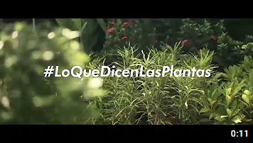 Campaña: Lo Que Dicen Las Plantas