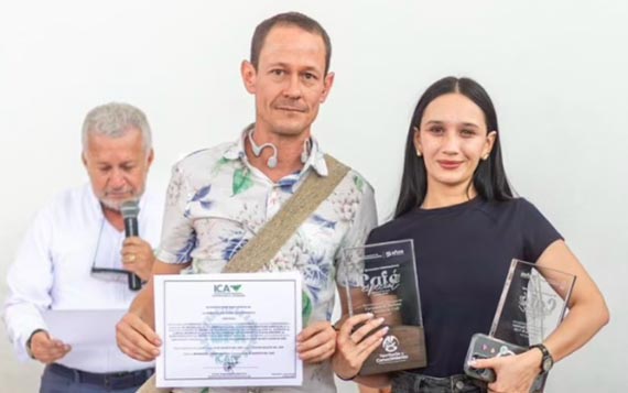 Bromelias de Colombia