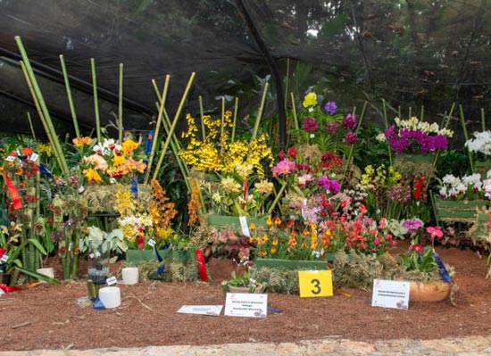 Jardín Botánico de Medellín