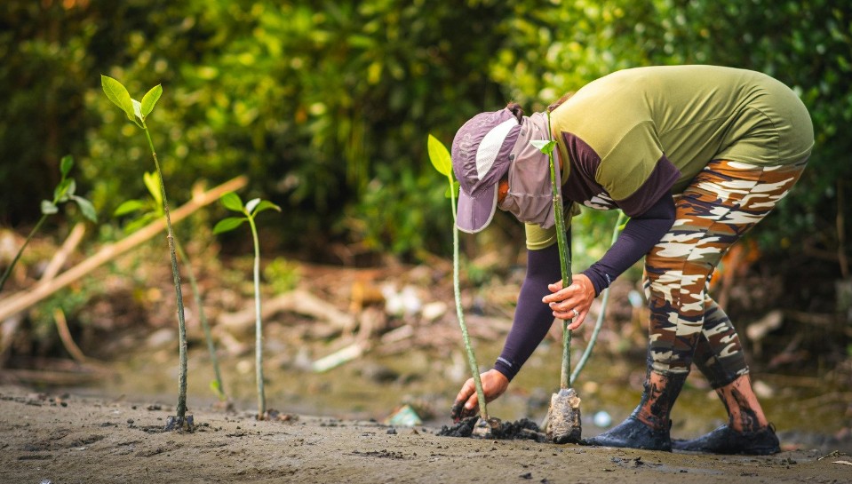 Reglamentación de la Ley 2173