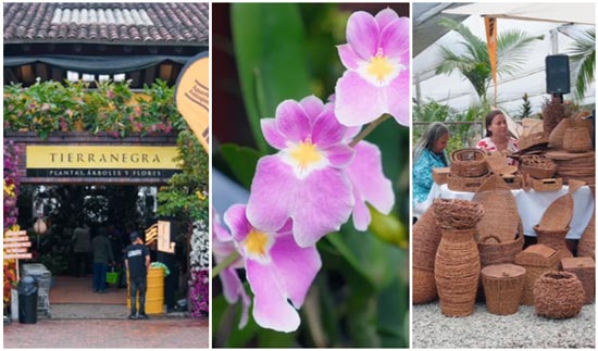 Mercado de Plantas y Colombia Exótica, El Retiro