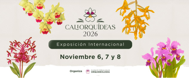 Caliorquideas 2026