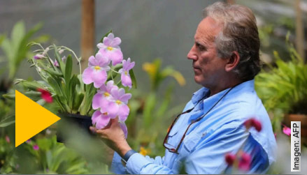 Daniel Piedrahita, invitado ExpoPlantas Armenia 2026