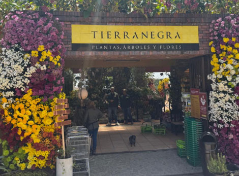 Exhibici&oacute;n  de plantas y flores en Tierra Negra