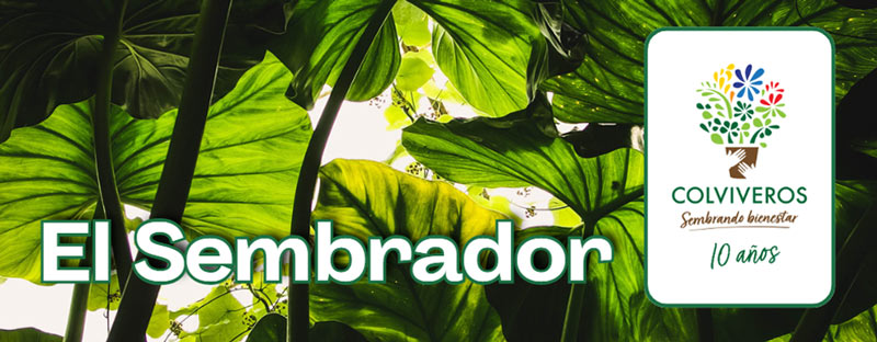 El Sembrador - Bolet&iacute;n electr&oacute;nico de Colviveros