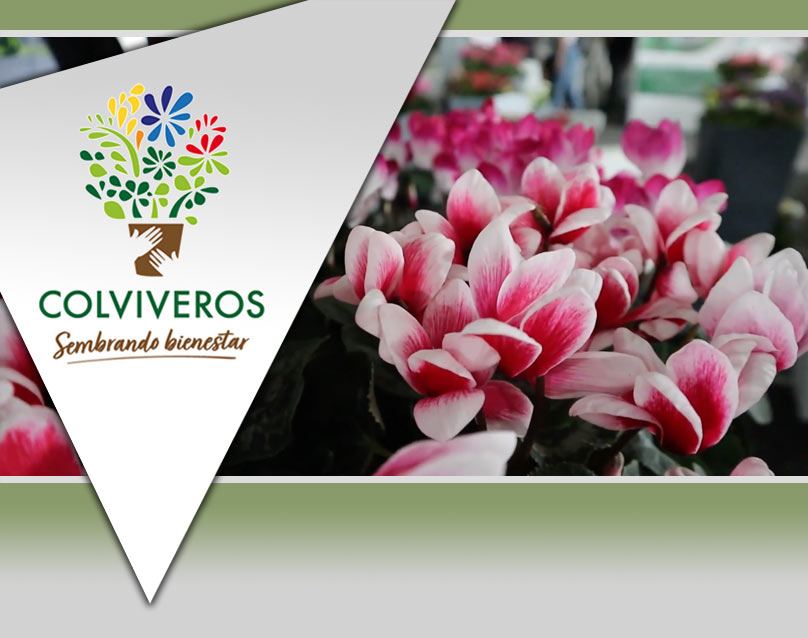 Valente Colombia - Flor natural 🍃 Tejida en fibras naturales
