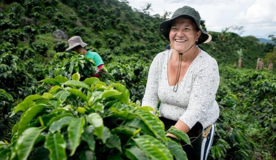 Países Bajos, exportador agrícola
