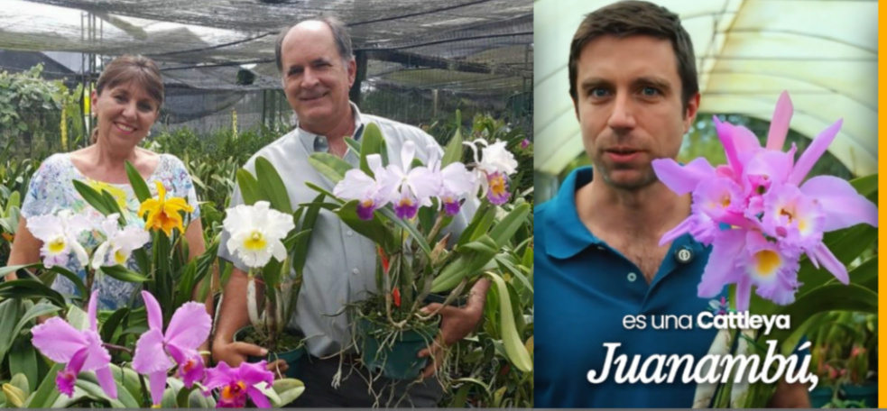 Open House - Orquídeas del Valle